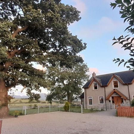 Oaktree Manor Villa Castlewellan Eksteriør billede