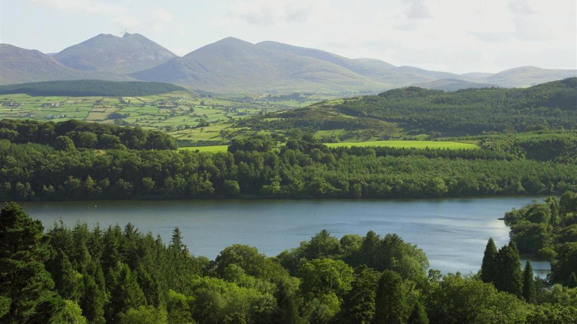 Oaktree Manor Villa Castlewellan Eksteriør billede