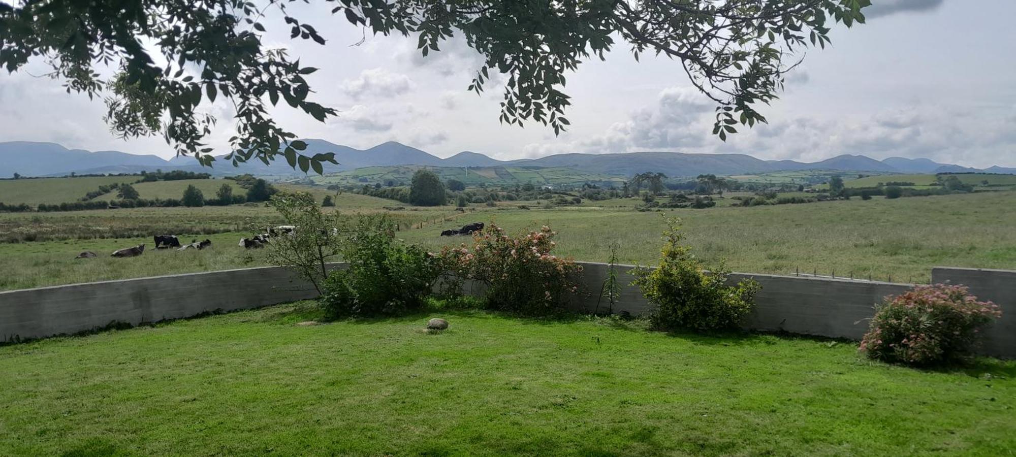 Oaktree Manor Villa Castlewellan Eksteriør billede