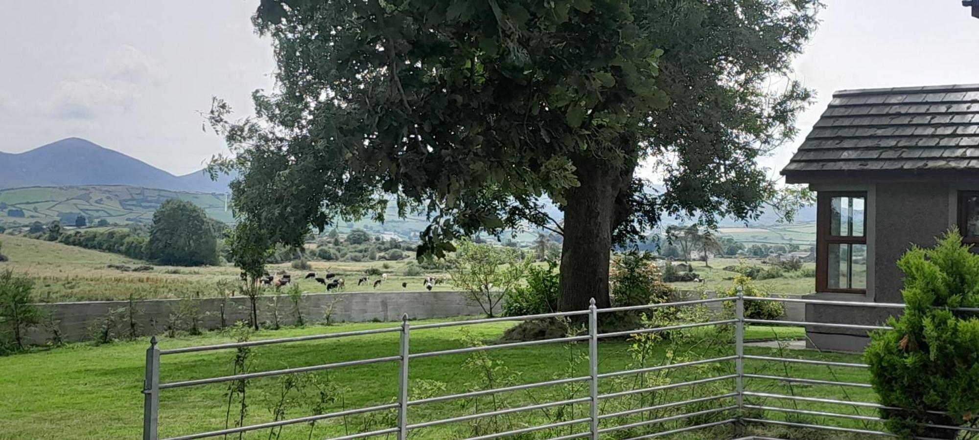 Oaktree Manor Villa Castlewellan Eksteriør billede
