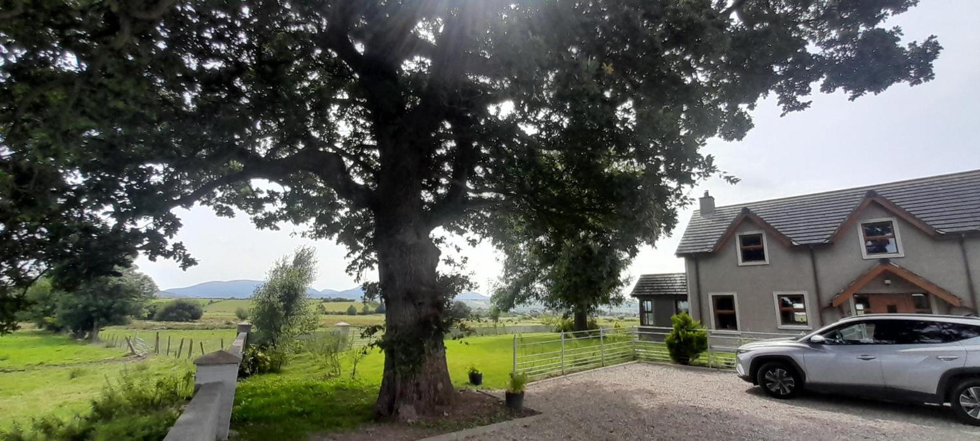 Oaktree Manor Villa Castlewellan Eksteriør billede